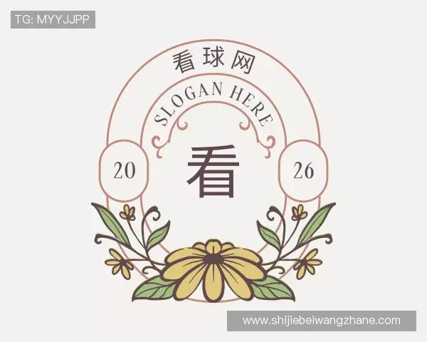 介绍看球网